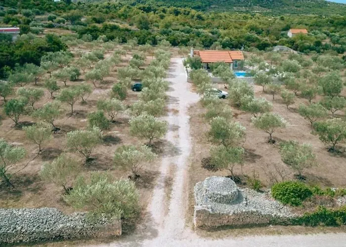 Ivana Whisper Of Nature 沃迪切